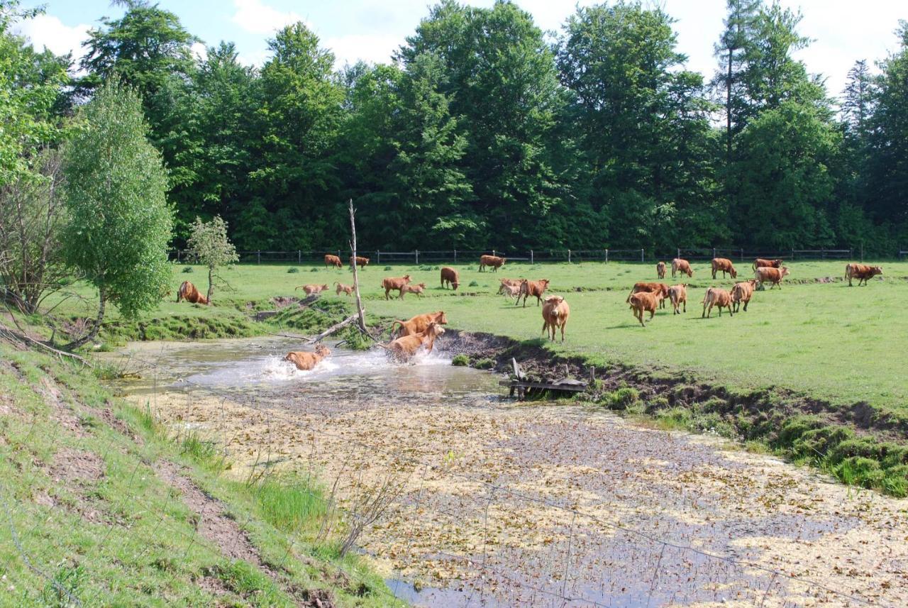 Ignatowka Villa Darlowo Bagian luar foto